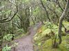 Landschaft auf der Insel Gomera