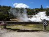 Geothermale Landschaft bei Rotorua