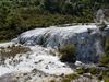 Geothermale Landschaft bei Rotorua