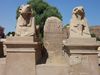 Karnak Tempel, Luxor